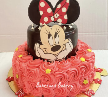 Minnie Mouse Cake